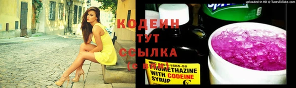 спайс Лагань