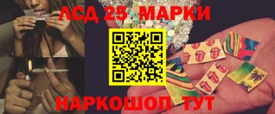 прущие грибы Комсомольск-на-Амуре