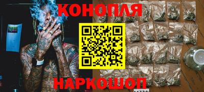 прущие грибы Комсомольск-на-Амуре