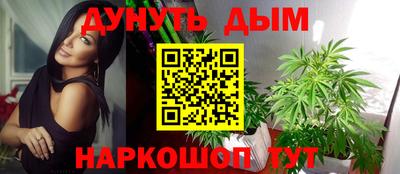 прущие грибы Комсомольск-на-Амуре
