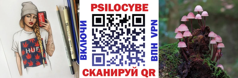 Галлюциногенные грибы Psilocybe  даркнет сайт  Тихвин 