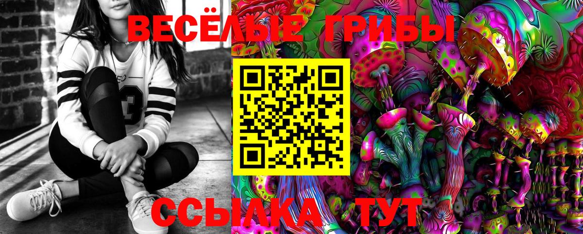 Галлюциногенные грибы MAGIC MUSHROOMS  Вход с VPN  Тихвин  наркотики  Псилоцибиновые грибы мухоморы 